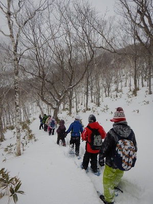 樹林帯をスノーシューを履いてお散歩する羅臼町の小学生（2018年1月撮影）