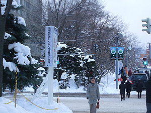 The Sapporo Snow Festival 
