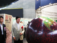 Mr. Namiki viewing the exhibition