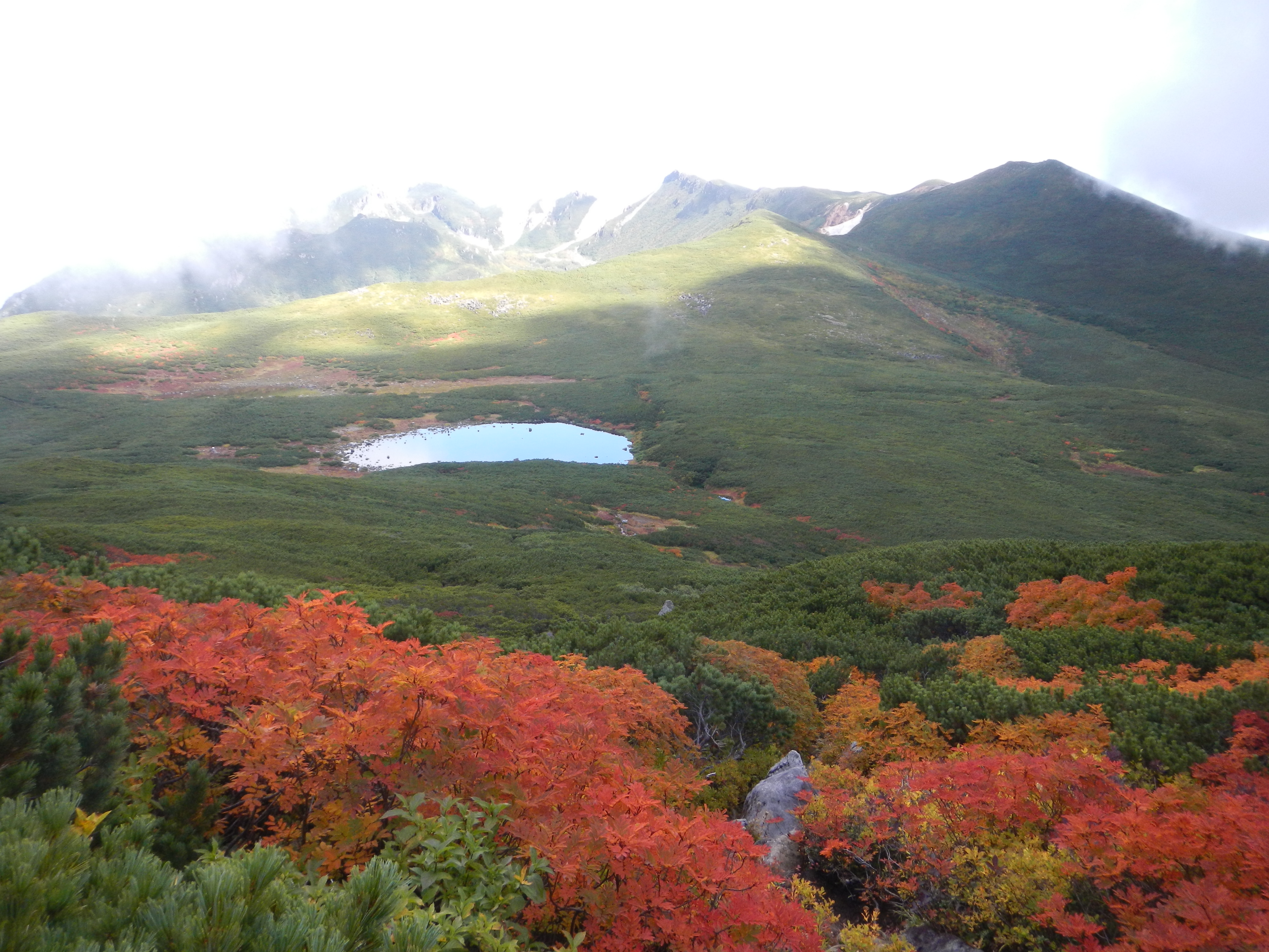 アクティブ・レンジャー日記 [北海道地区]_知床国立公園 ウトロ