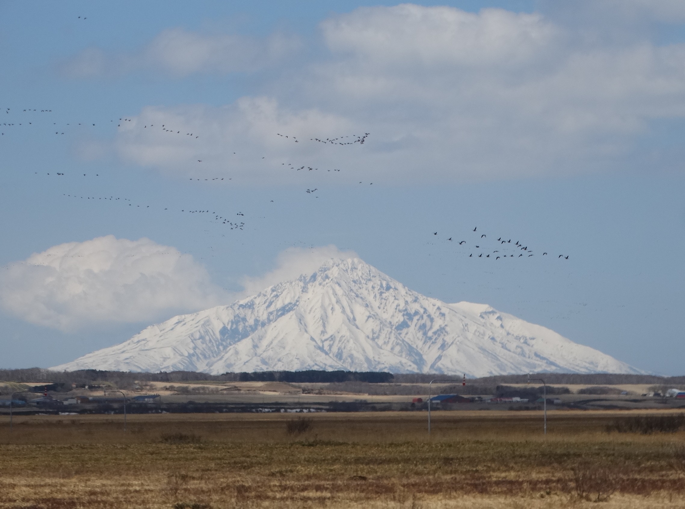 ○【訳アリ】 Tundra 他言語 1枚 ○【訳アリ】 Tundra 他言語 1枚