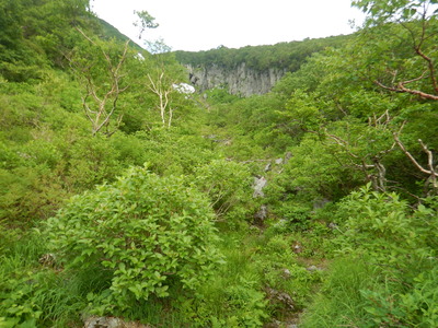 羅臼岳の自然に包まれた登山道（2015年8月撮影）