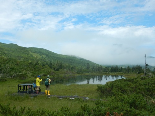 羅臼湖遊歩道沿いにある3の沼展望台にて沼に映る羅臼岳を撮ろうとして雲がとれるのを待つガイドと利用者（2019年８月撮影）