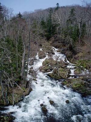 アクティブ レンジャー日記 北海道地区 滝見橋から