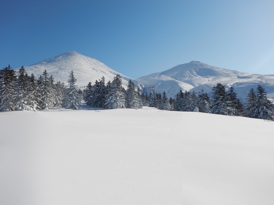 アクティブ・レンジャー日記 [北海道地区]_大雪山国立公園 東川