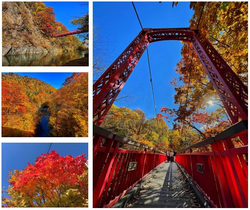 支笏洞爺国立公園の紅葉 | 北海道地方環境事務所 | 環境省