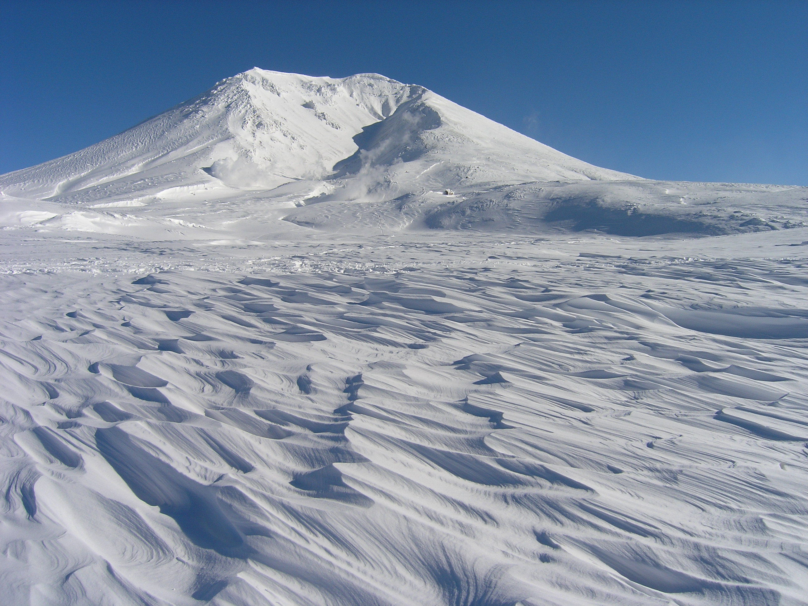 アクティブ・レンジャー日記 [北海道地区]_大雪山国立公園 東川