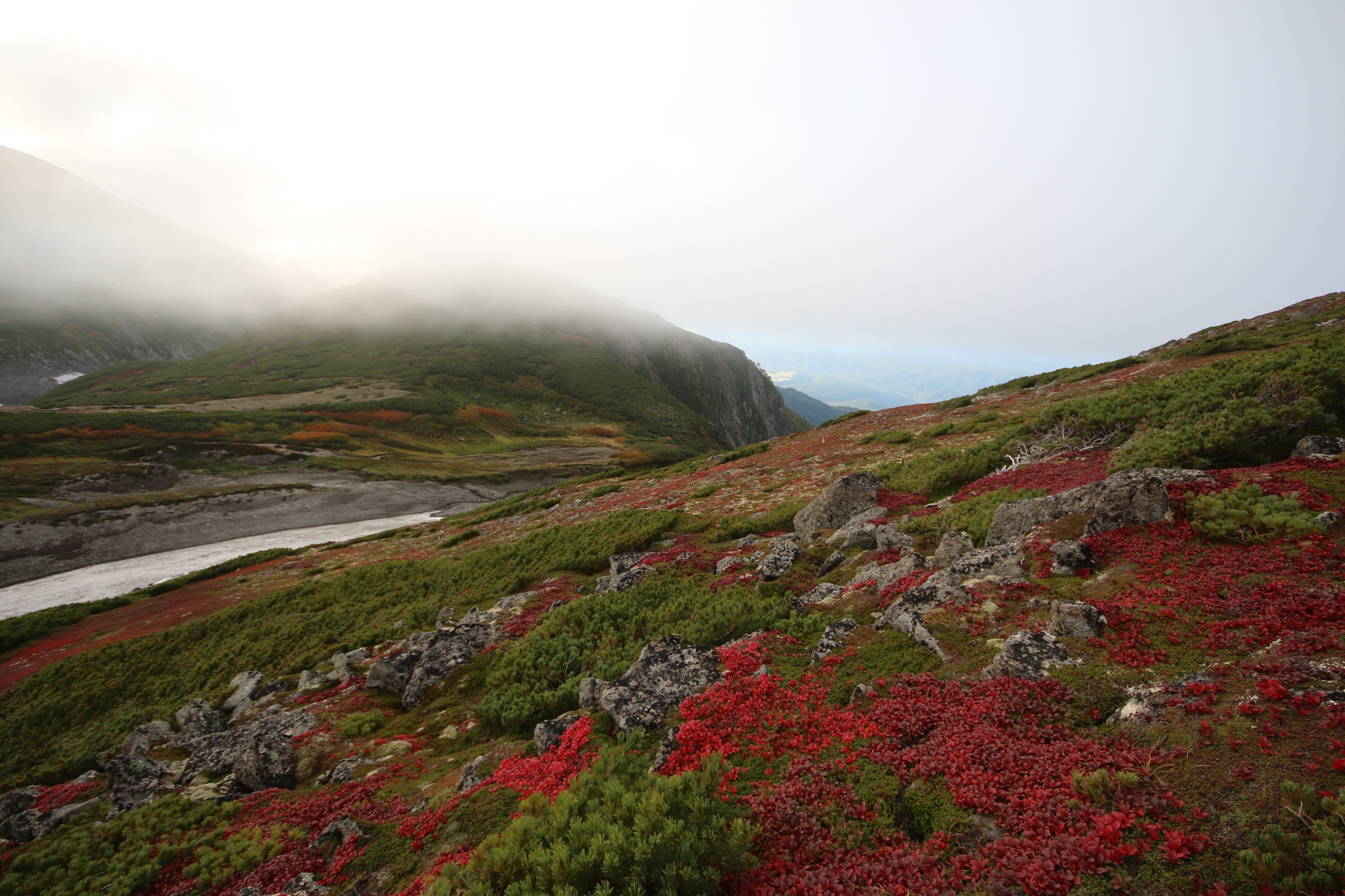 アクティブ・レンジャー日記 [北海道地区]_大雪山国立公園 上川