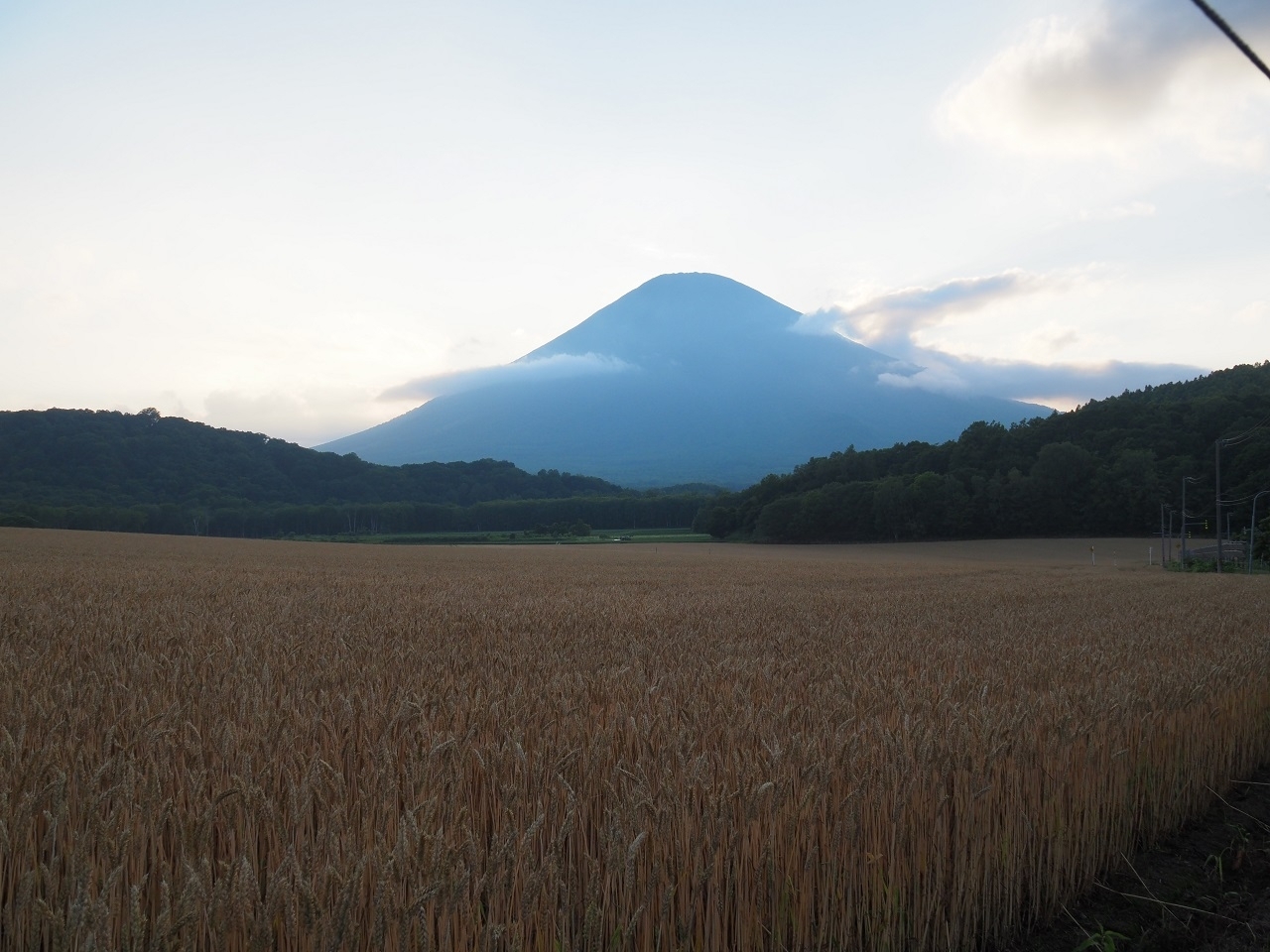 シルエット羊蹄山