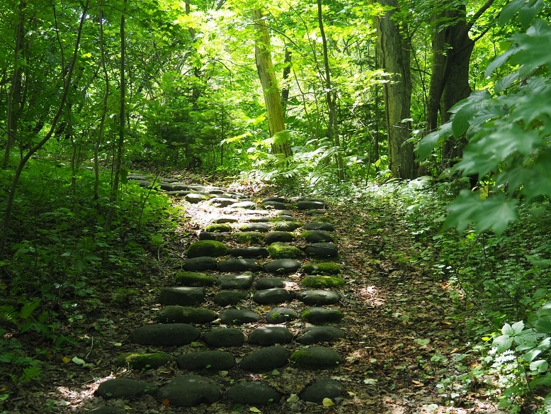 木漏れ日の四十三山遊歩道