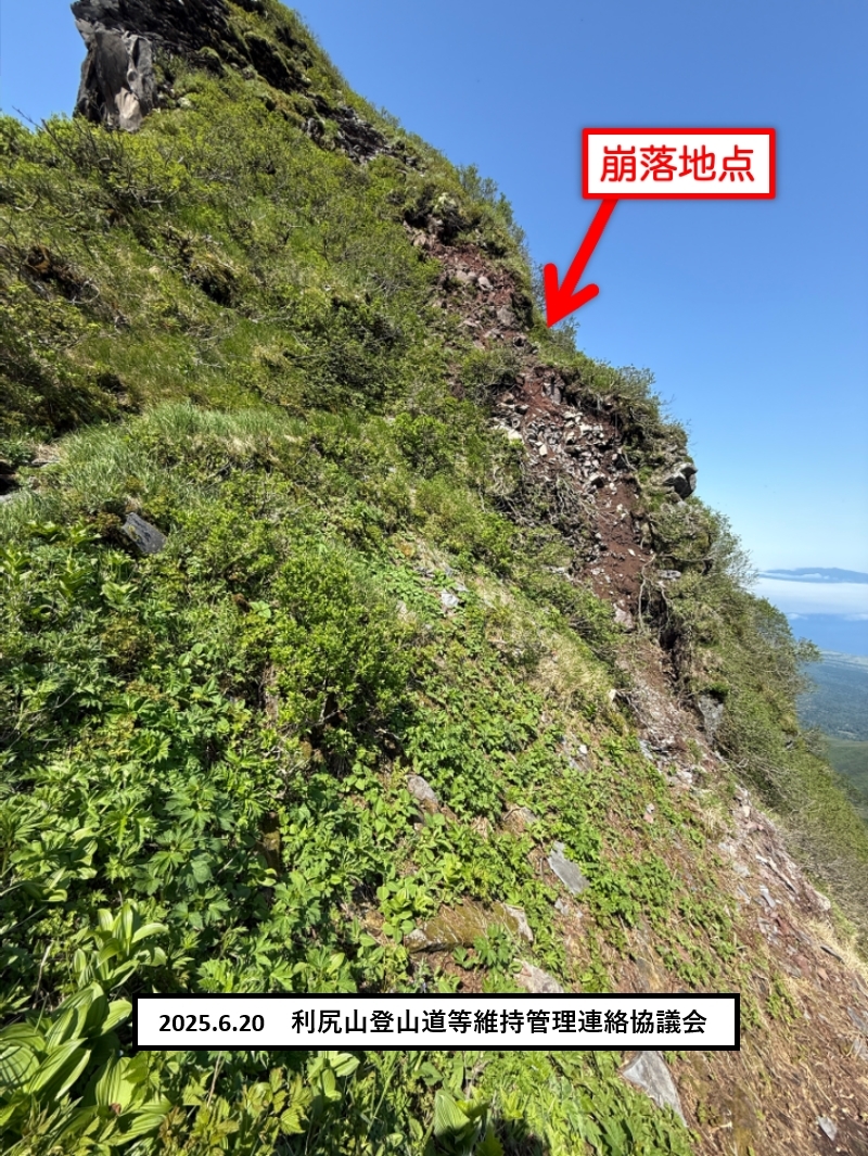 代替テキスト