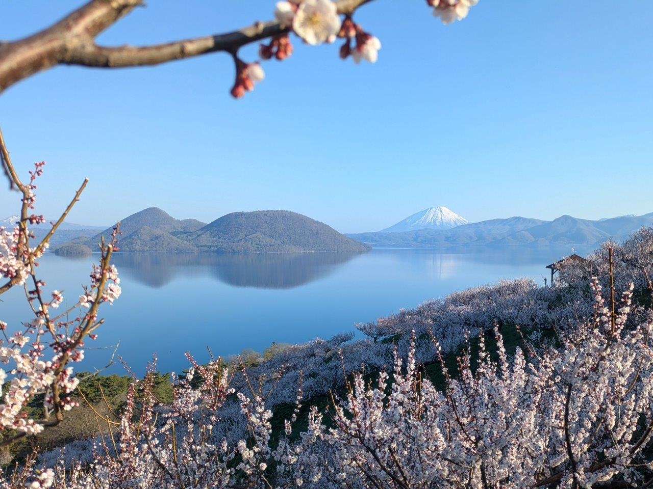 壮瞥公園からの羊蹄山