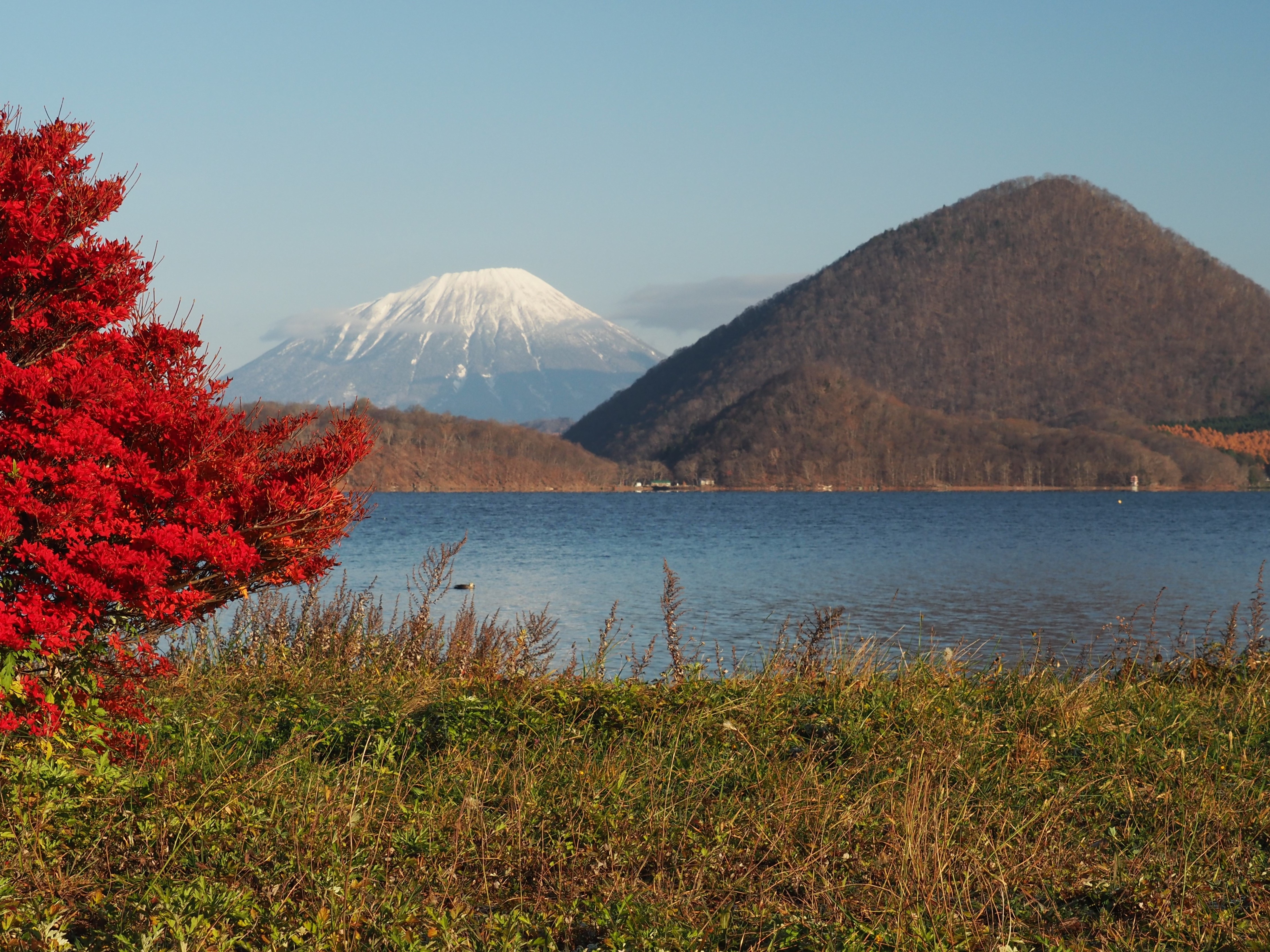紅葉と羊蹄山