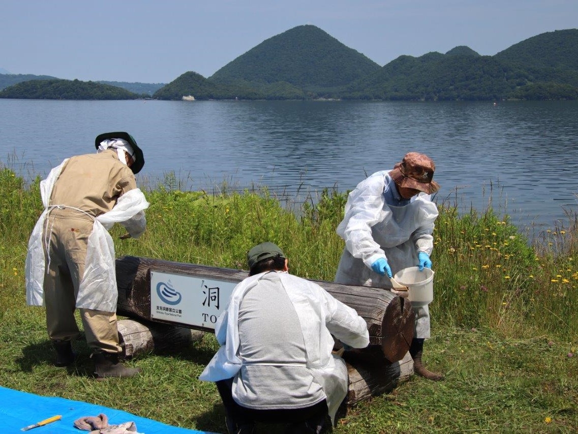 壮瞥側作業の状況
