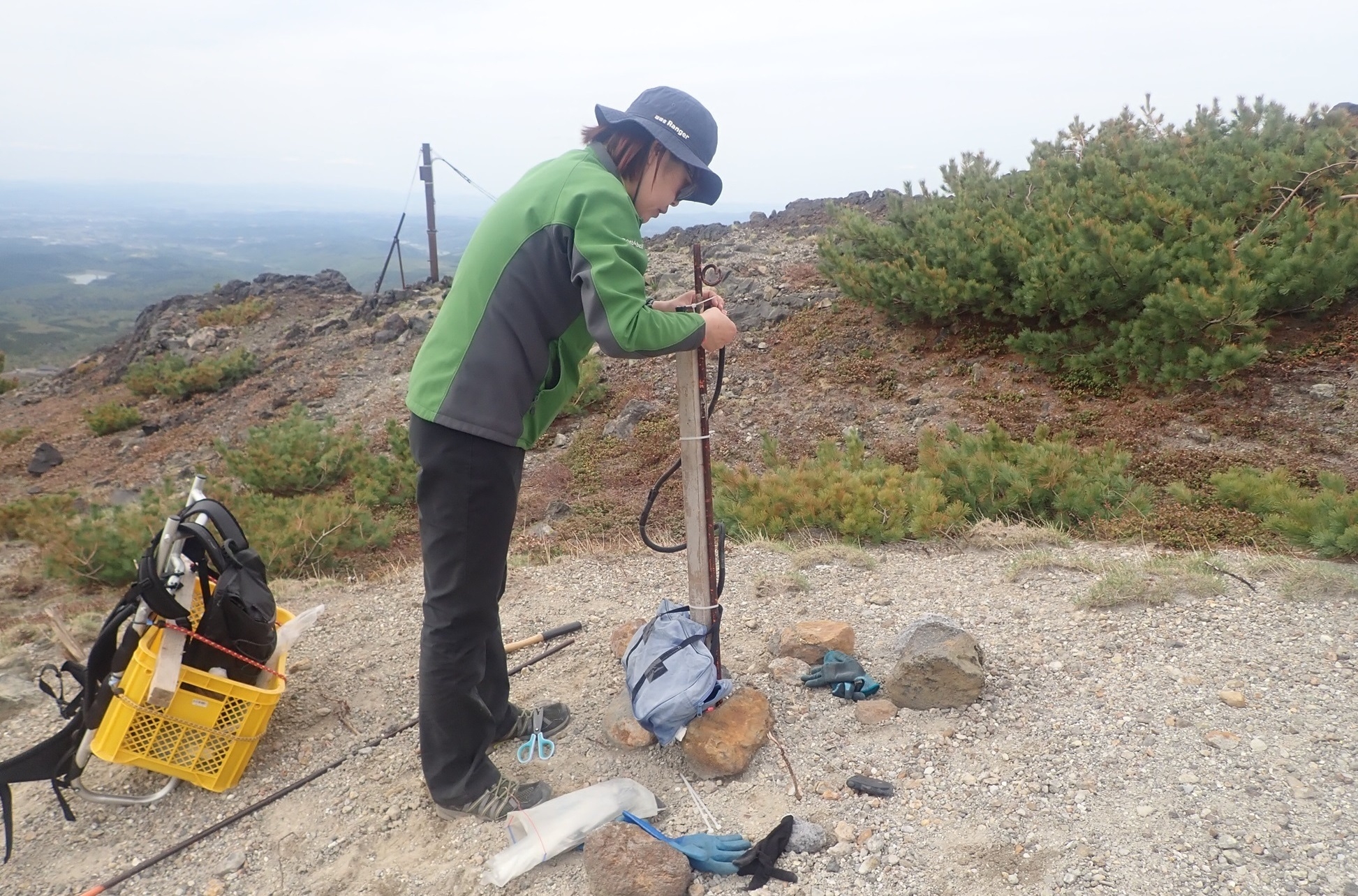 ALTテキスト