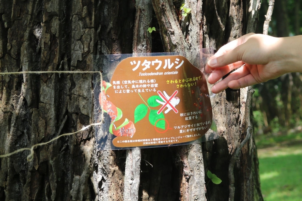 代替テキスト