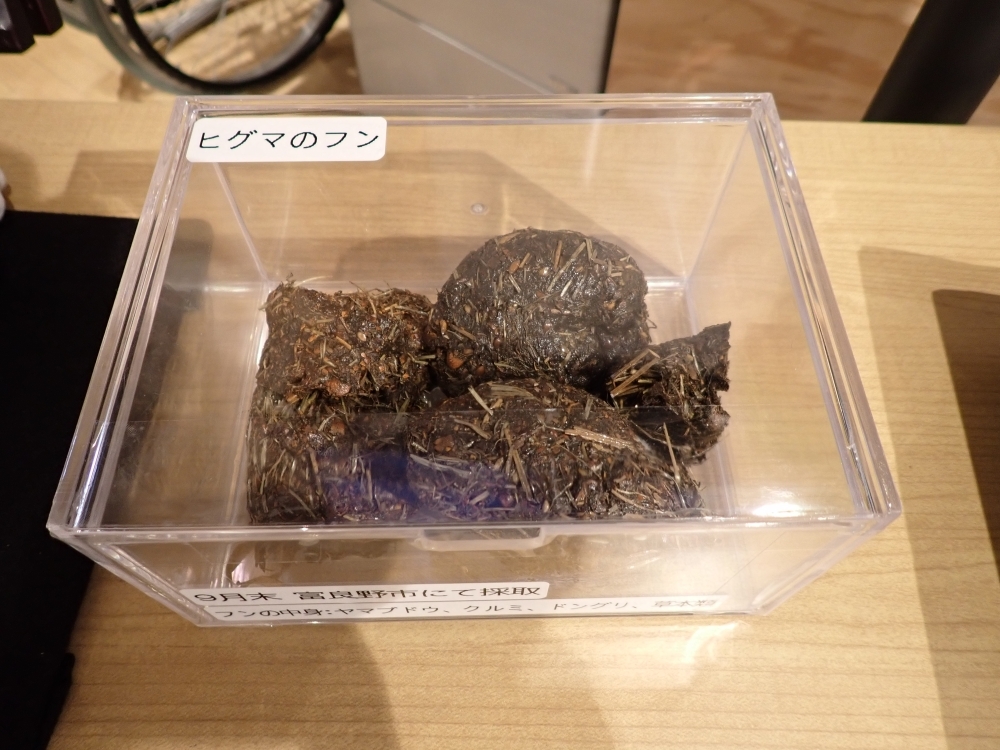 ALTテキスト