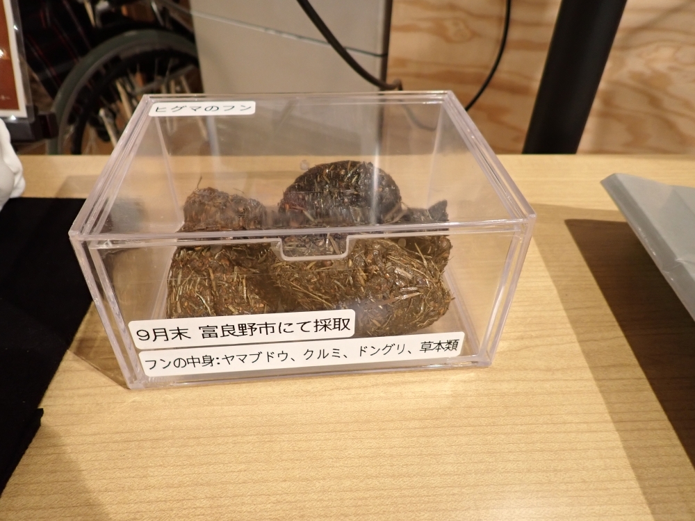 ALTテキスト