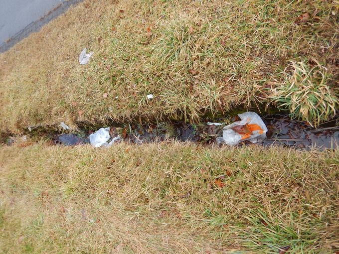 海岸線で見られたビニール袋などのゴミ（2015年10月撮影）
