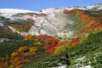 写真：大雪山国立公園 赤岳第三雪渓
