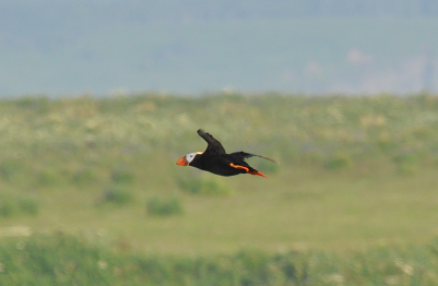 管内の国指定鳥獣保護区 | 釧路自然環境事務所 | 環境省