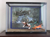 折り紙展示イメージ写真