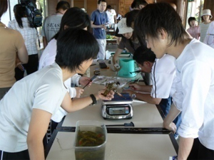 Junior High School Students Observing Signal Crayfish